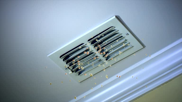 Best Air Duct Sanitizing Services  in South Whittier, CA